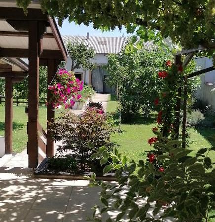 Ferienwohnung Maks Und Kris Sankt Andra am Zicksee Экстерьер фото
