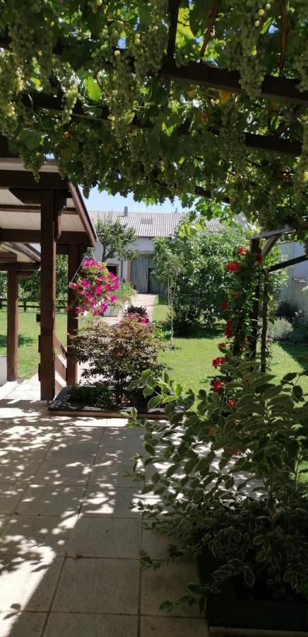 Ferienwohnung Maks Und Kris Sankt Andra am Zicksee Экстерьер фото